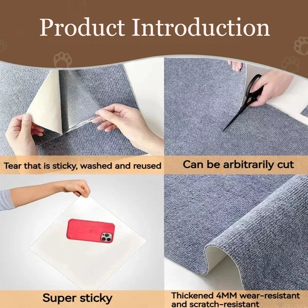 Scratch Shield