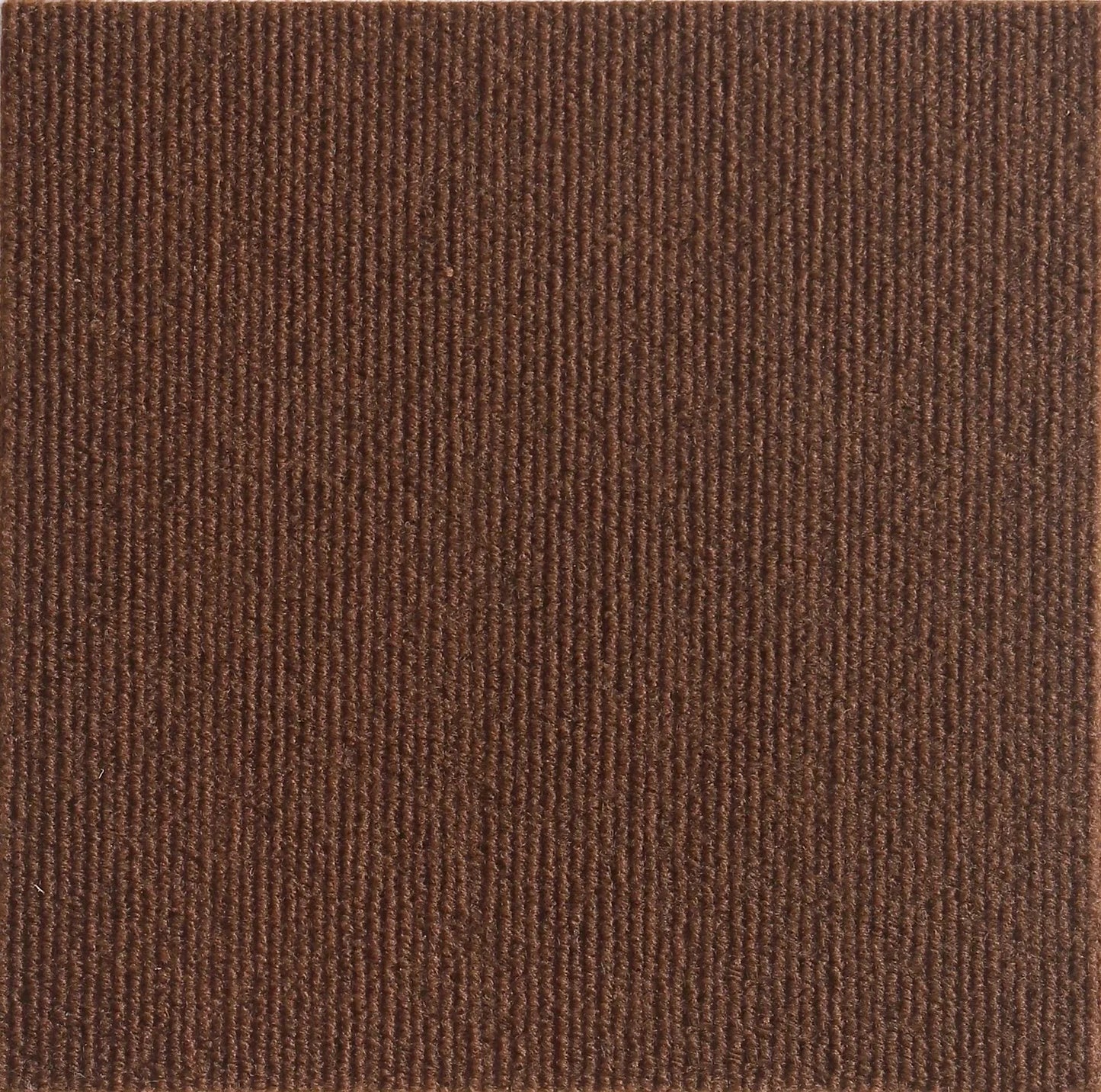 Scratch Shield