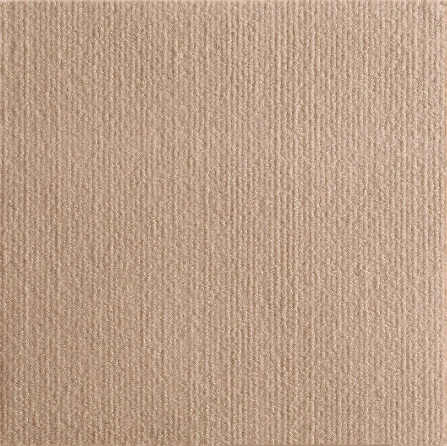 Scratch Shield